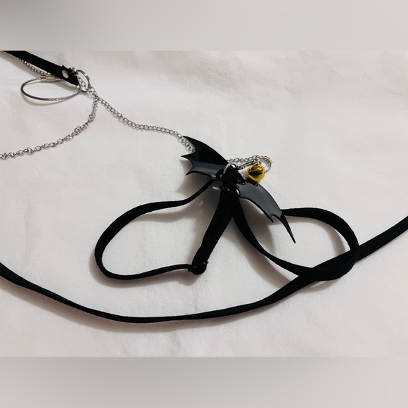 SM Adjustable Pet 🐢 Turtle and or Tortoise Leash - Picture 3 of 4